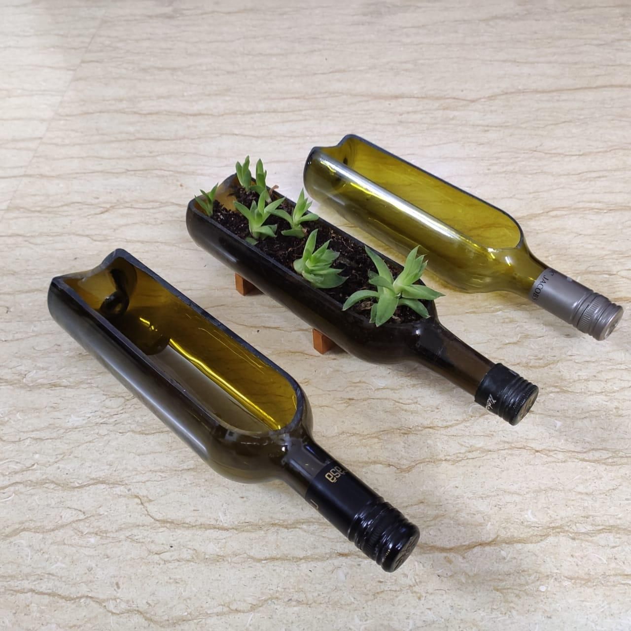Glass Bottle Planter 5 Steps Instructables