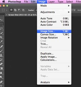 Step 1: How to Resize a Photo (Option 2)
