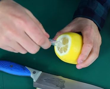 Insert the Syringe Into the Lemon and the Lemon Spray Is Ready for Spraying On. 