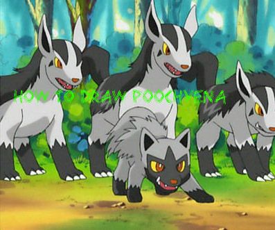 How to Draw Poochyena