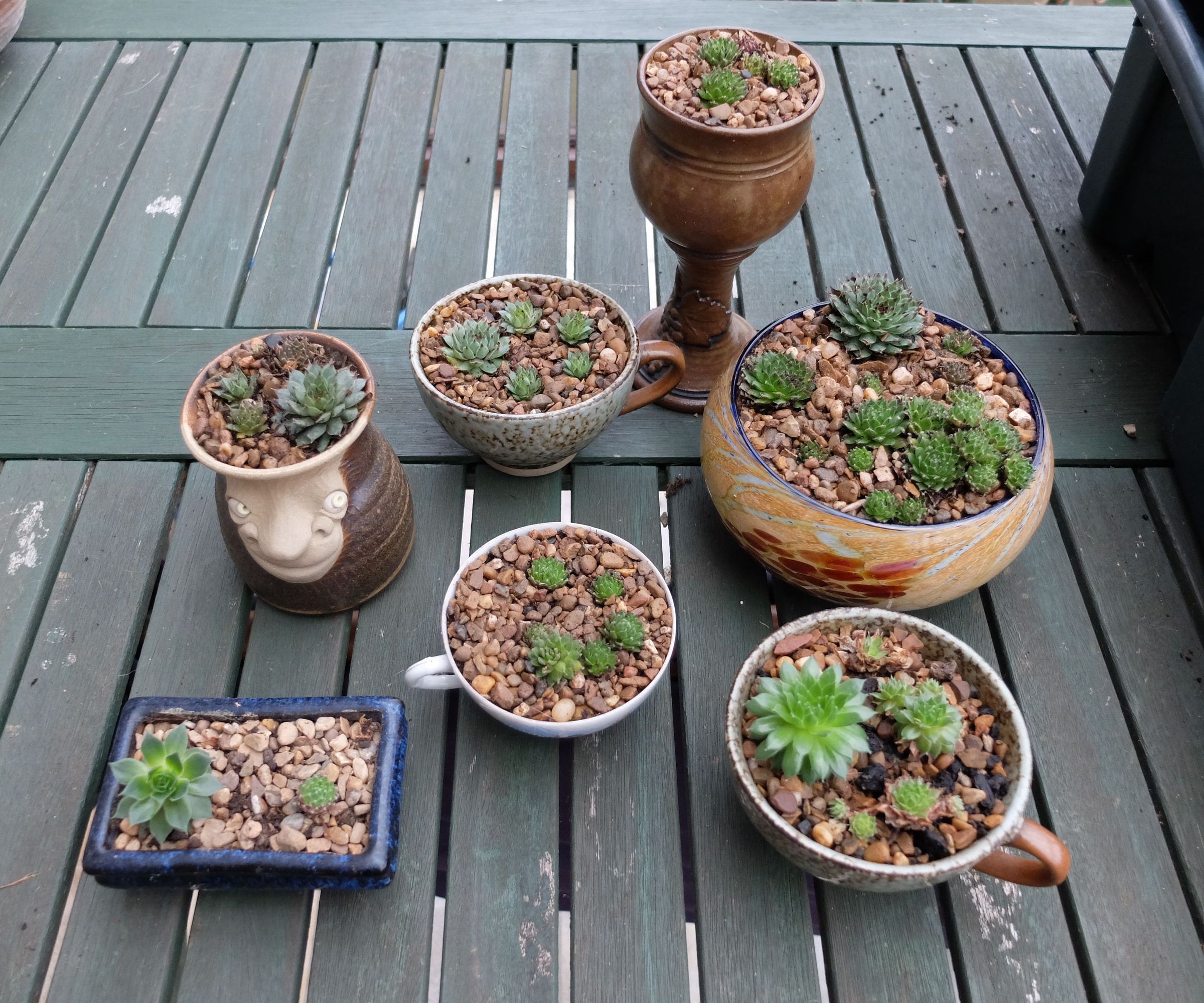 Simple and Unusual Planted Pots for Indoors