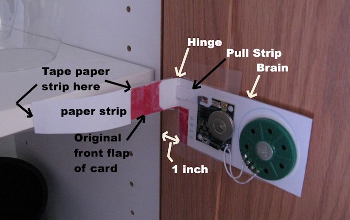 Cupboard Door Greeting