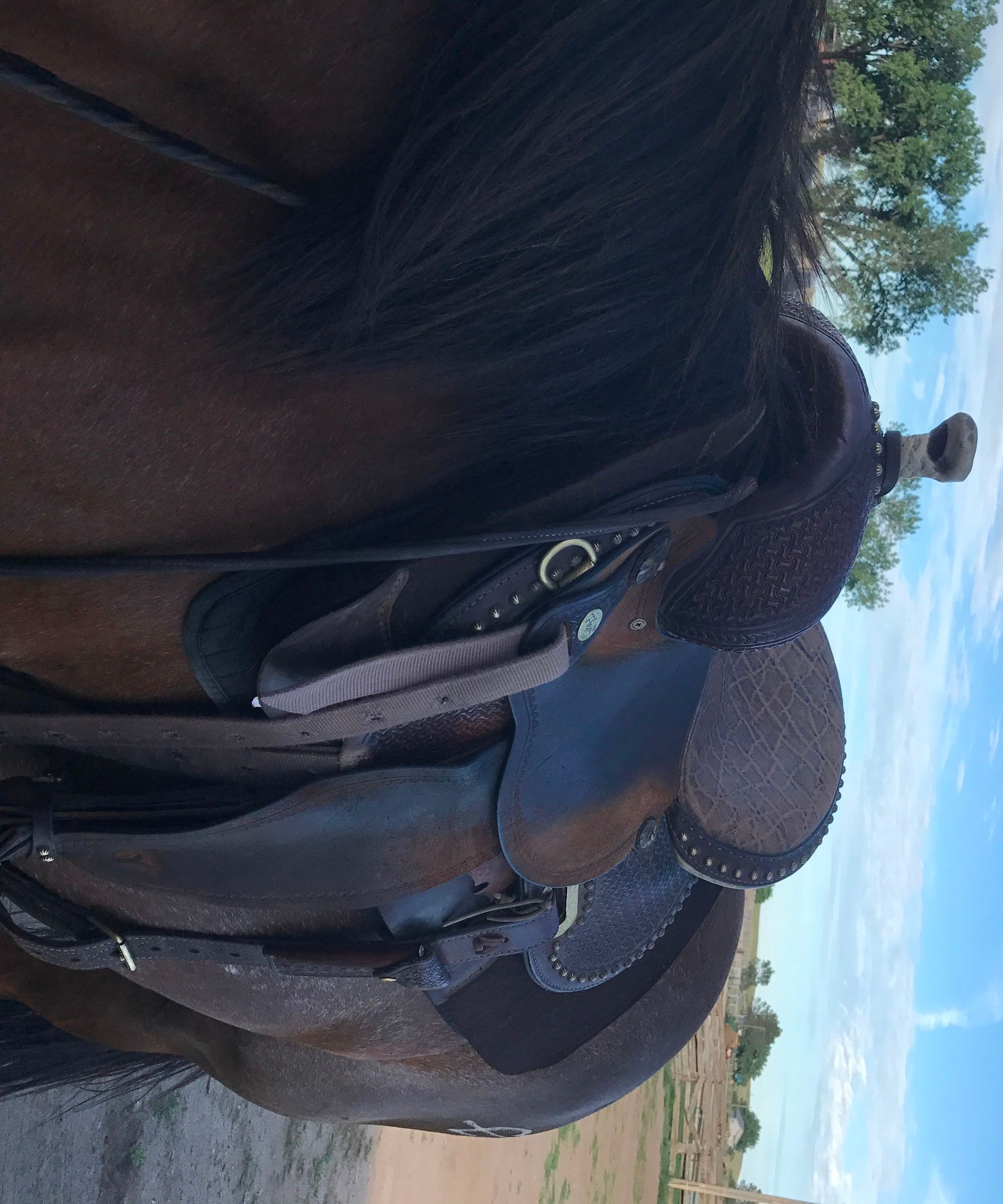How to Saddle a Horse 