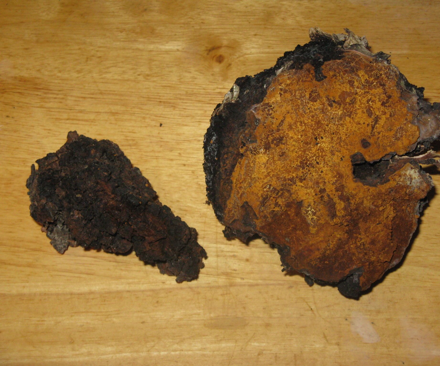 The Three Uses of Chaga Mushroom