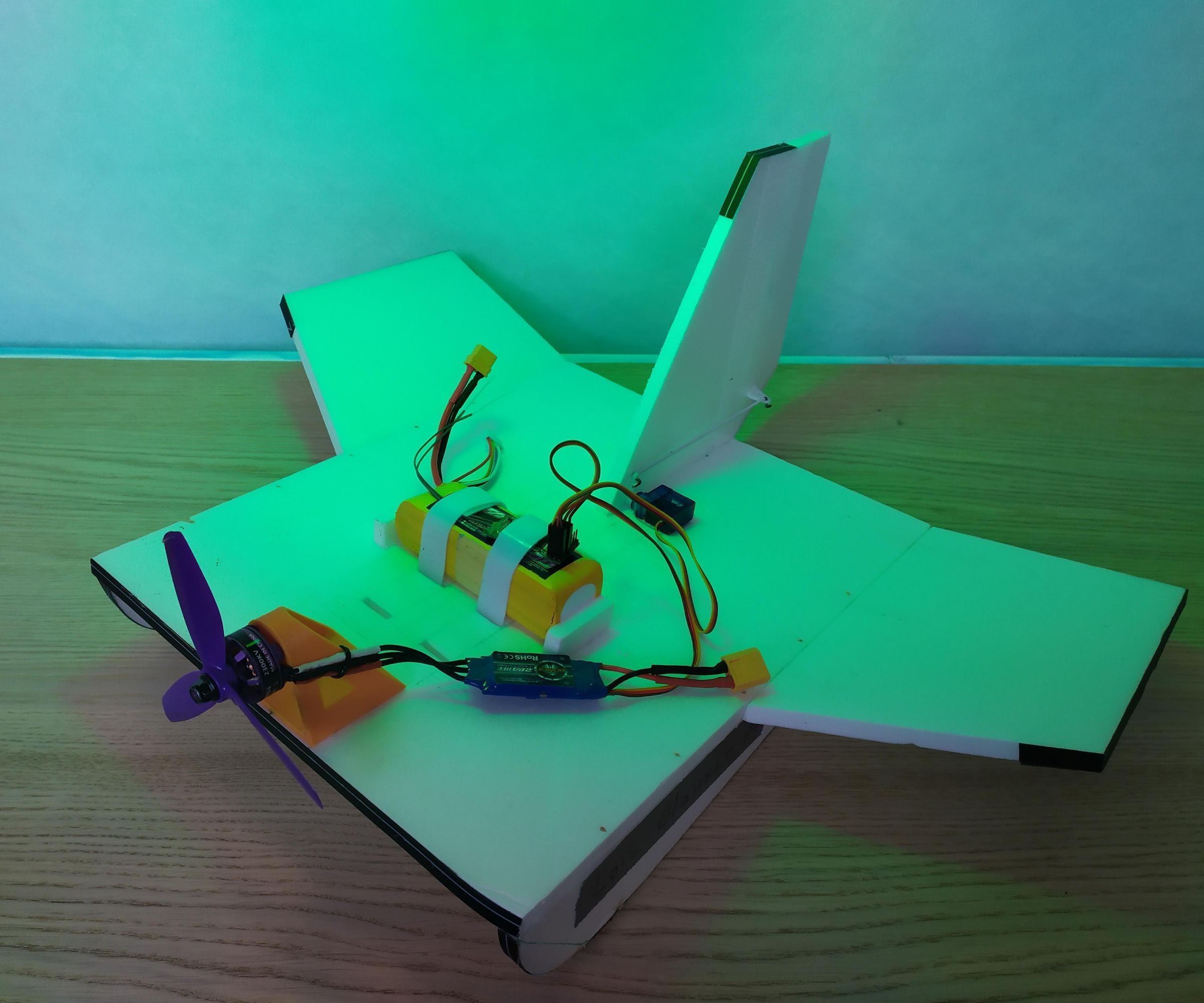 Super FAST RC Ground Effect Vehicle (Ekranoplan)