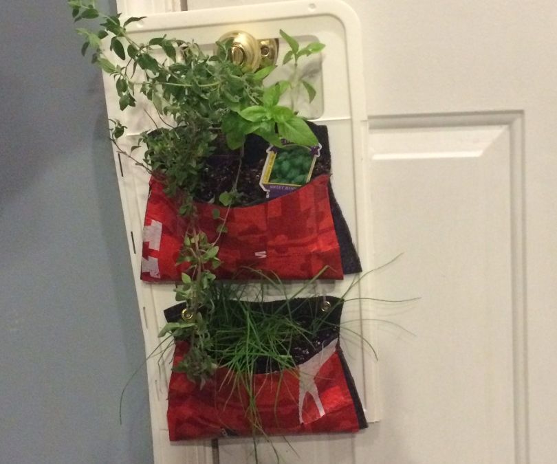 Vertical Garden With Reinforced Pouches