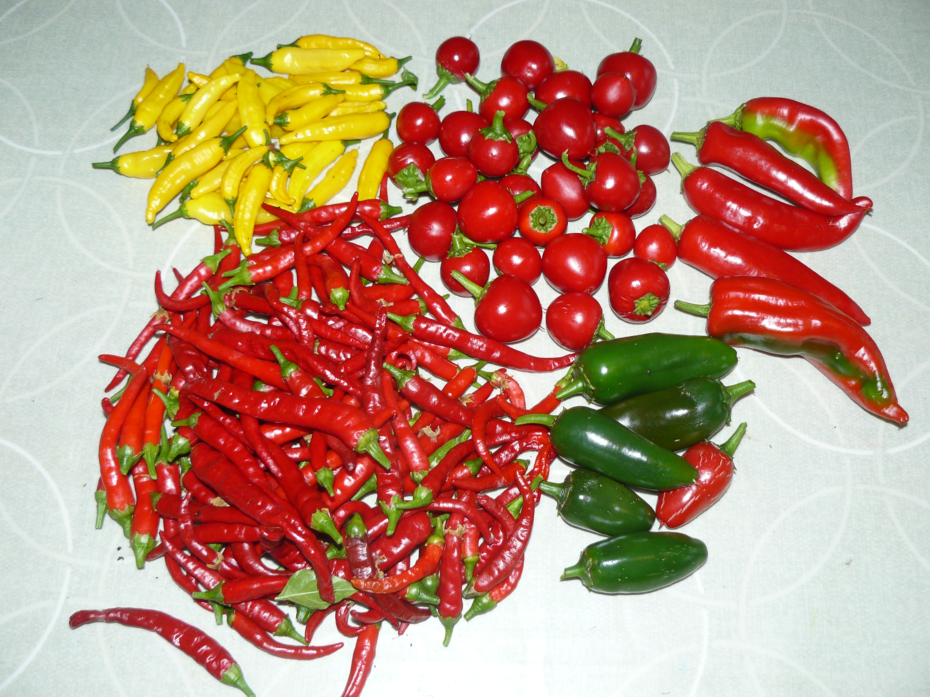 Preserving Chillies: Jam, Flakes, Powder