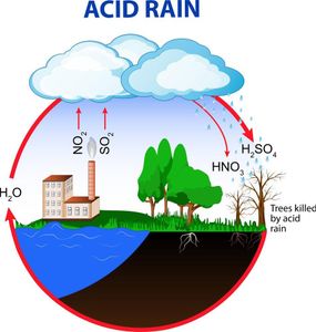 Acidic Rain Detector by Arduino Uni and Ph Sensor