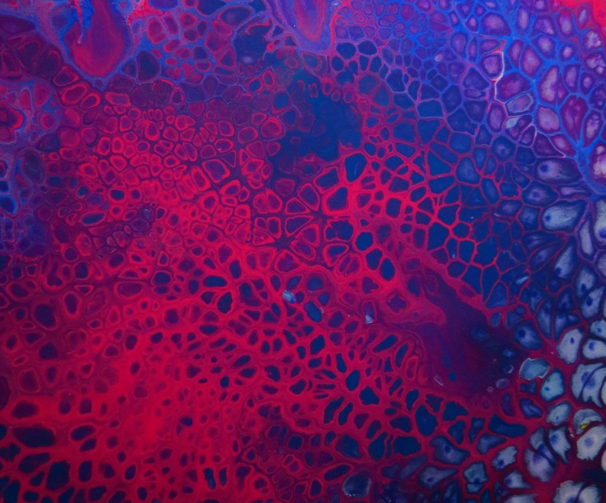 Acrylic Pour Painting 6 Steps (with Pictures) Instructables