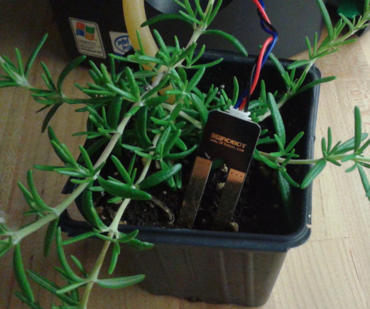 How to Build an E-waste Watering Can