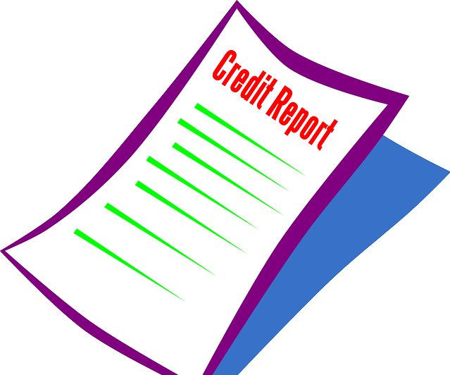 Using a Comprehensive Credit Professional Service Comprehensive Credit Professional Service 