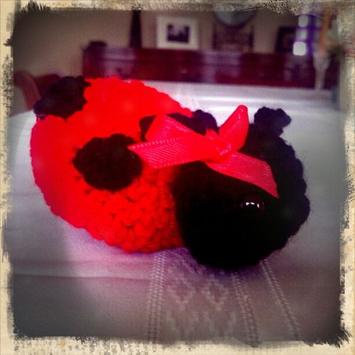 Little Lady Bug Amigurumi