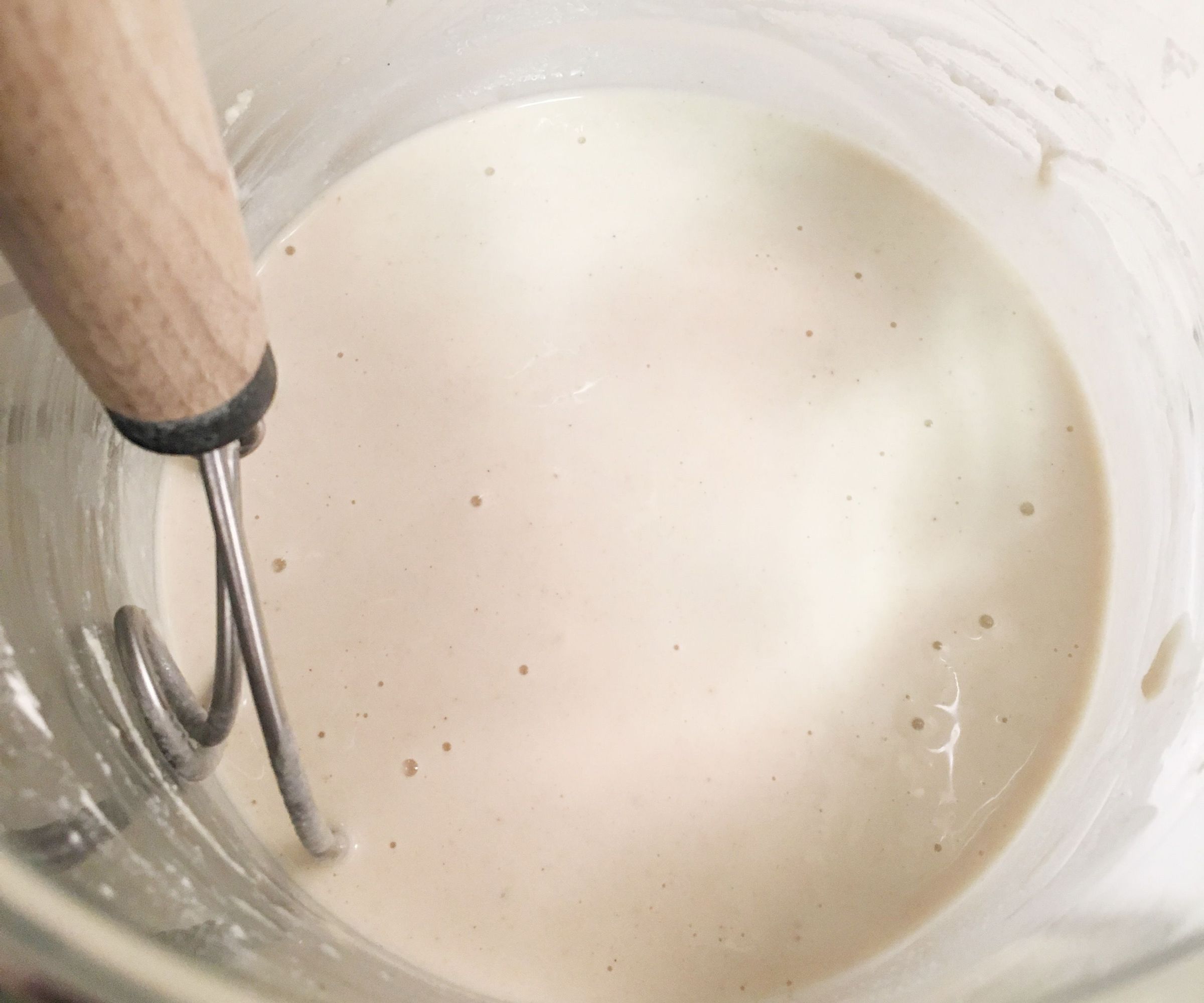 Gluten Free Sourdough Starter