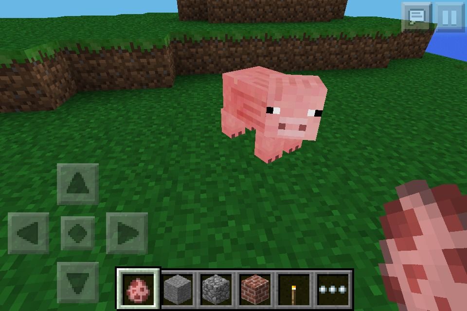 Pig Rain: Need I Say More?