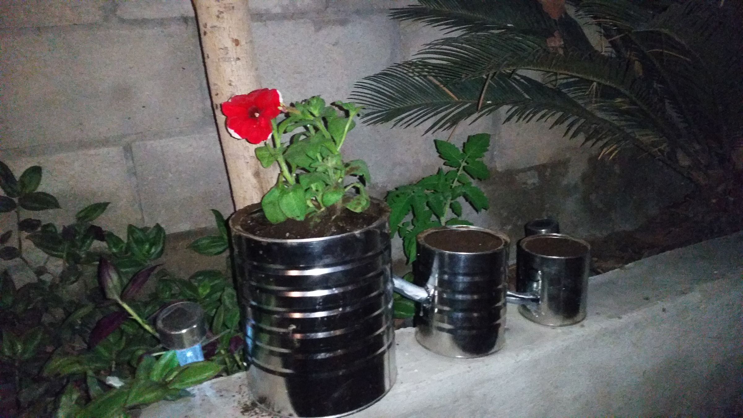 Recycled Powder Milk Can 