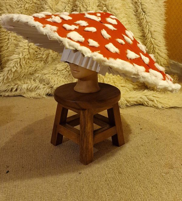 Fly Mushroom Hat