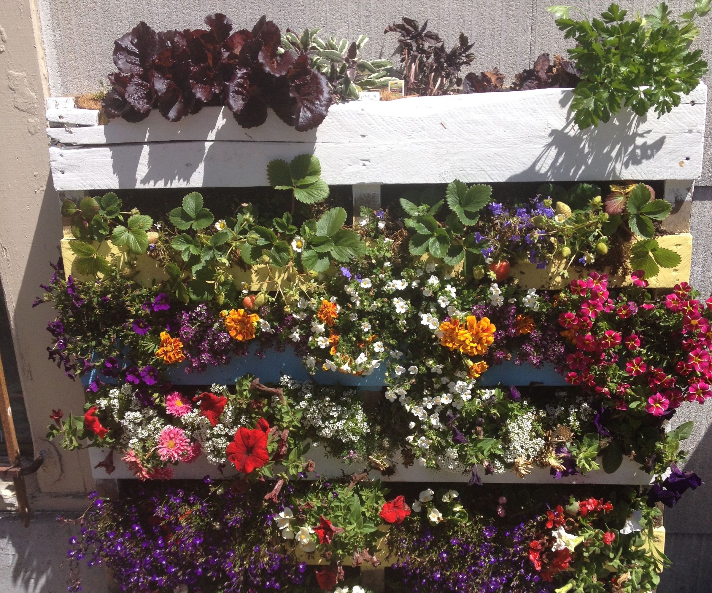 Make Your Own Pallet Garden