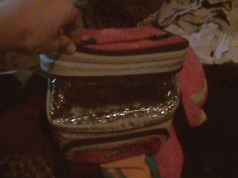 Awesome solar powered lunch box