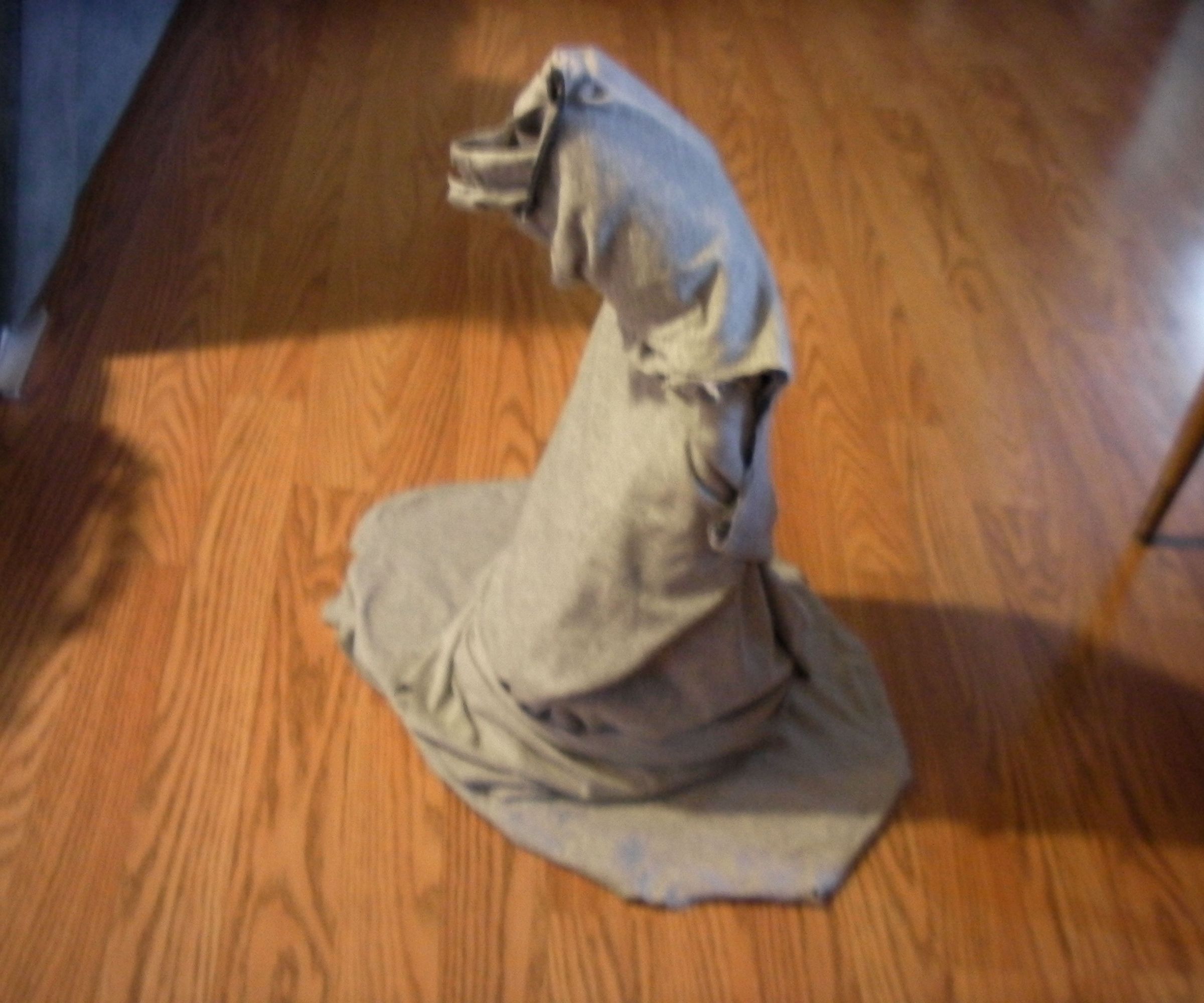Gandalf Hat