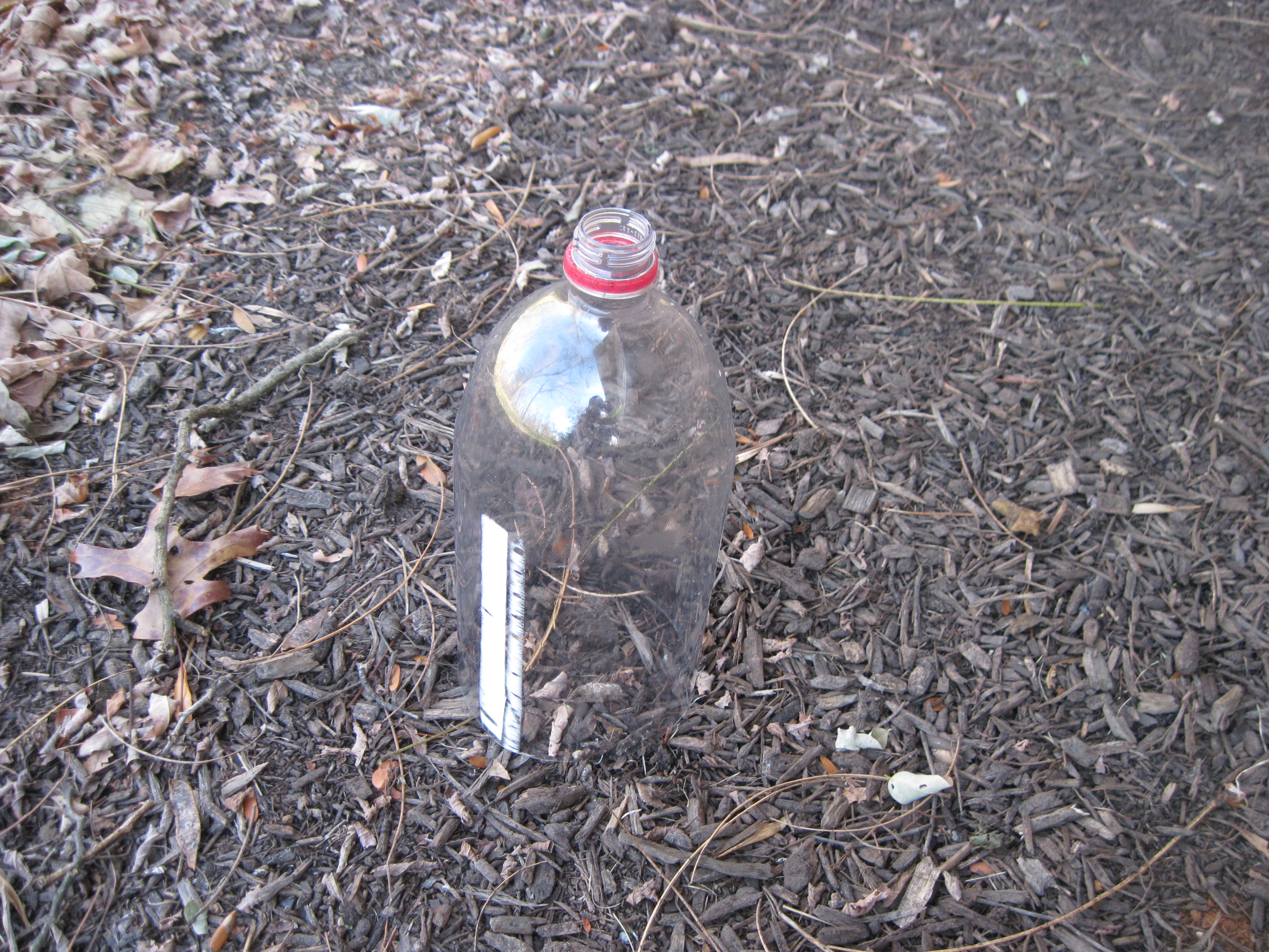 How to Protect Sunflowers From Critters Instructables