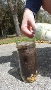 Plant Preferred Herb Seeds