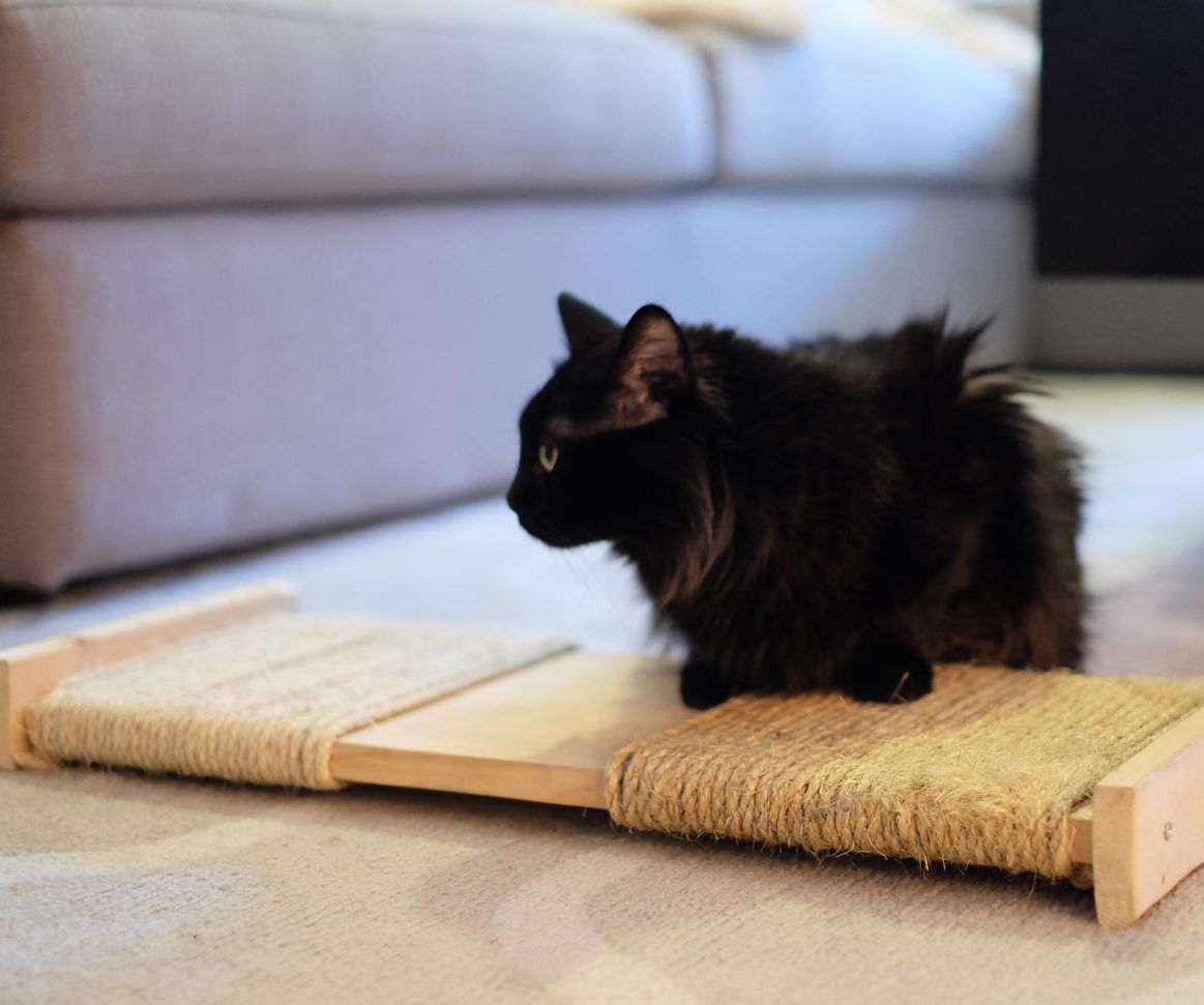 Cat Scratching Post/pad