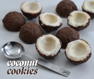 Realistic Coconut Cookies