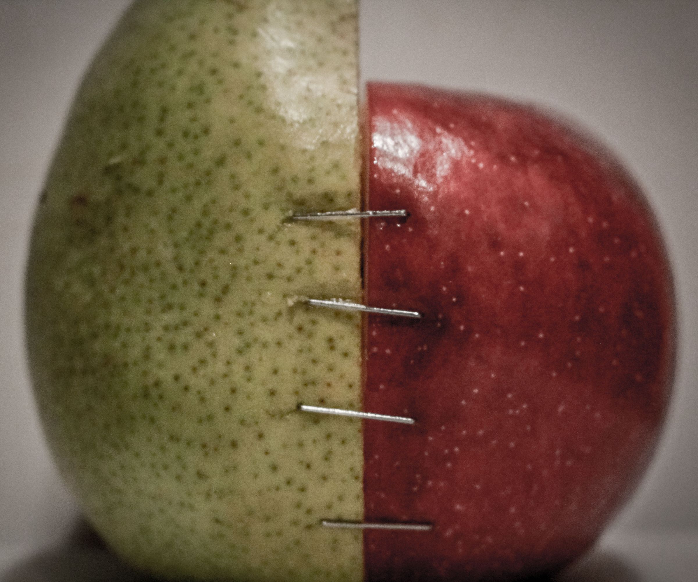 Composition of Food Photography