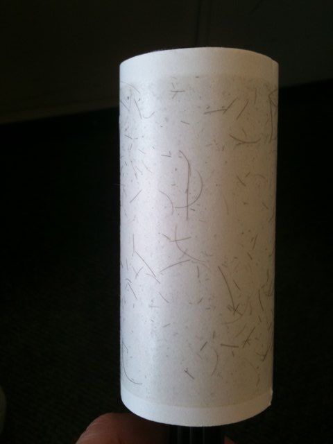 Good Use for a Lint Roller