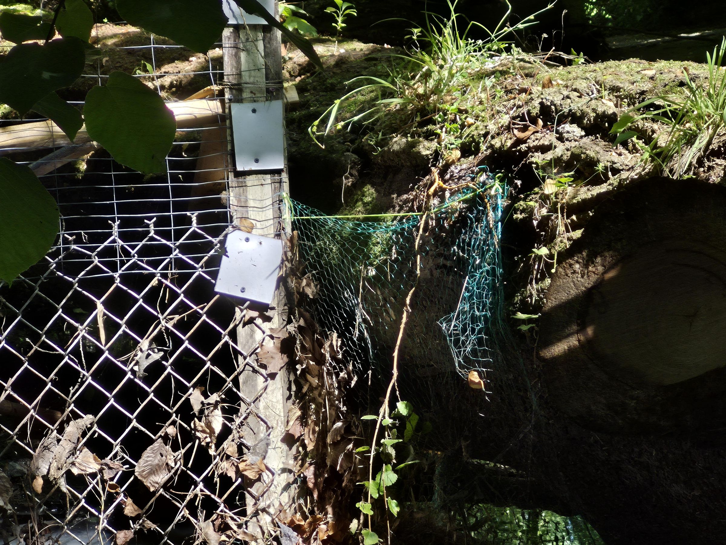 Install Netting