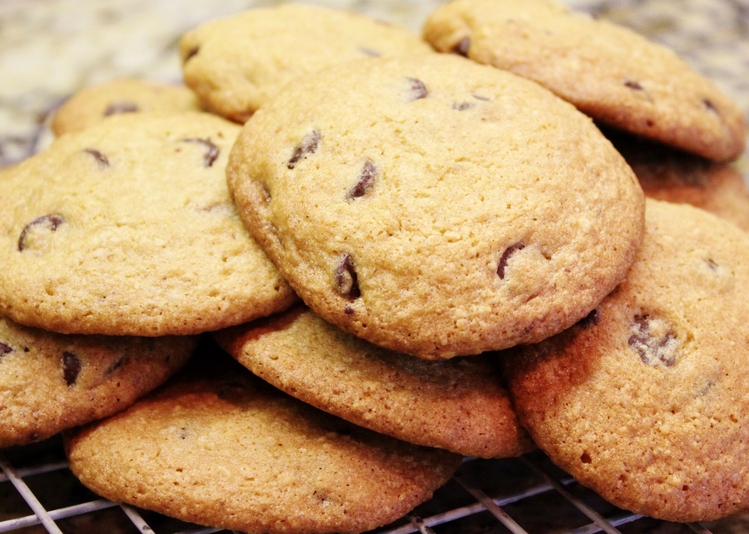 Gluten Free Chocolate Chip Cookies