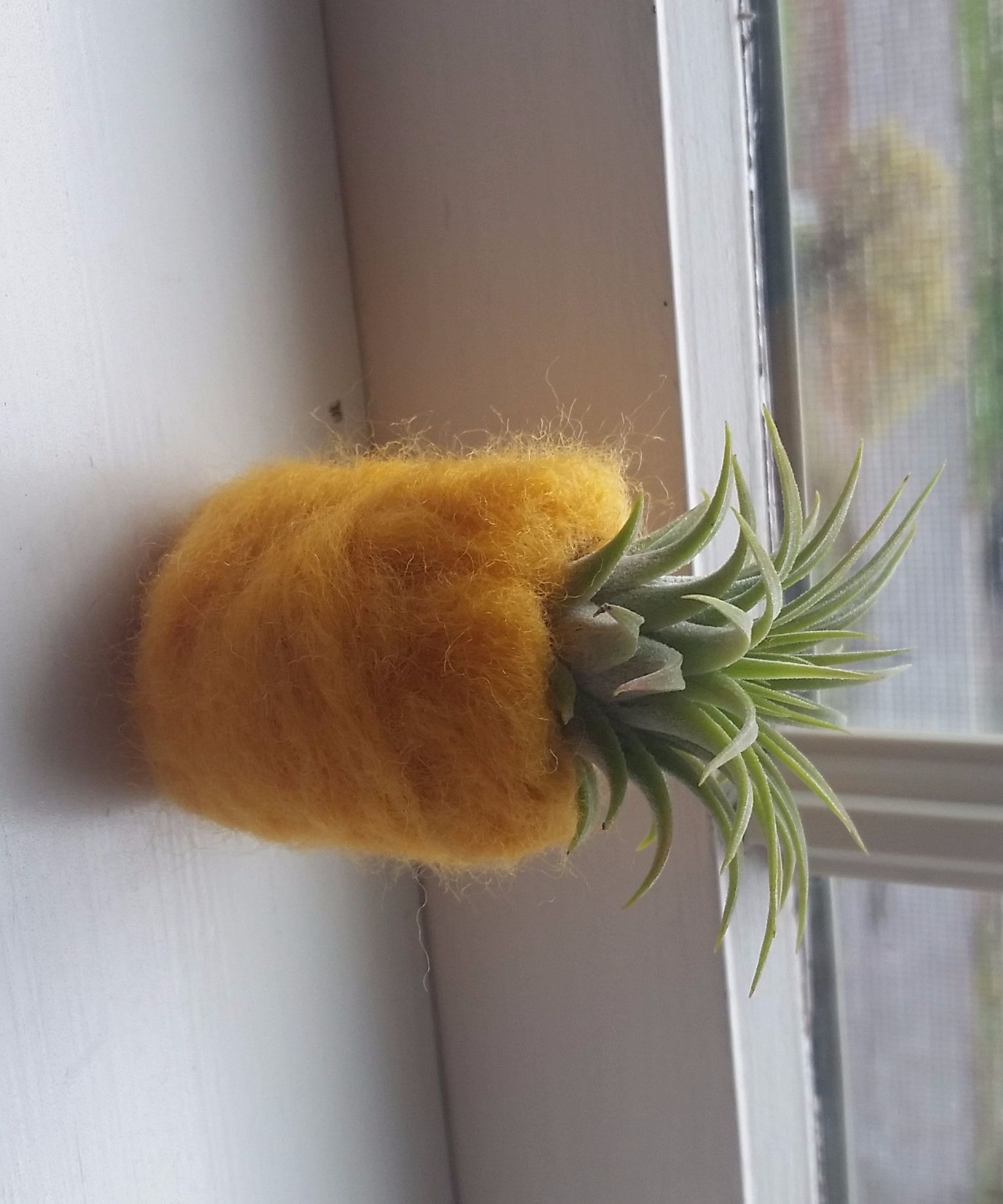 Felted Pineapple Air Plant Holder