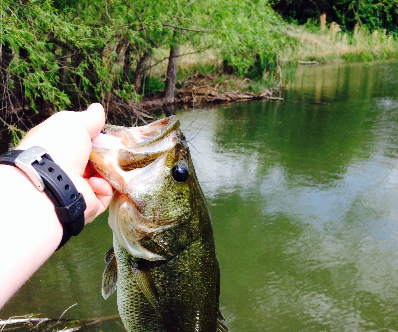 How to Re-spool a Baitcasting Reel