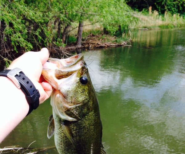 How to Re-spool a Baitcasting Reel