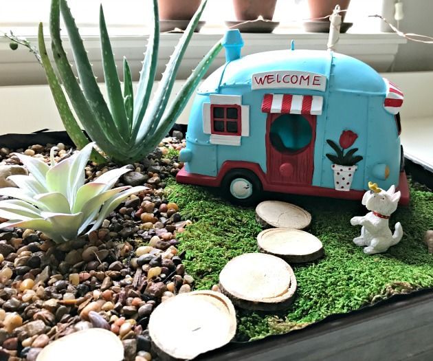 Fun DIY Indoor Succulent Garden With Mini Lights