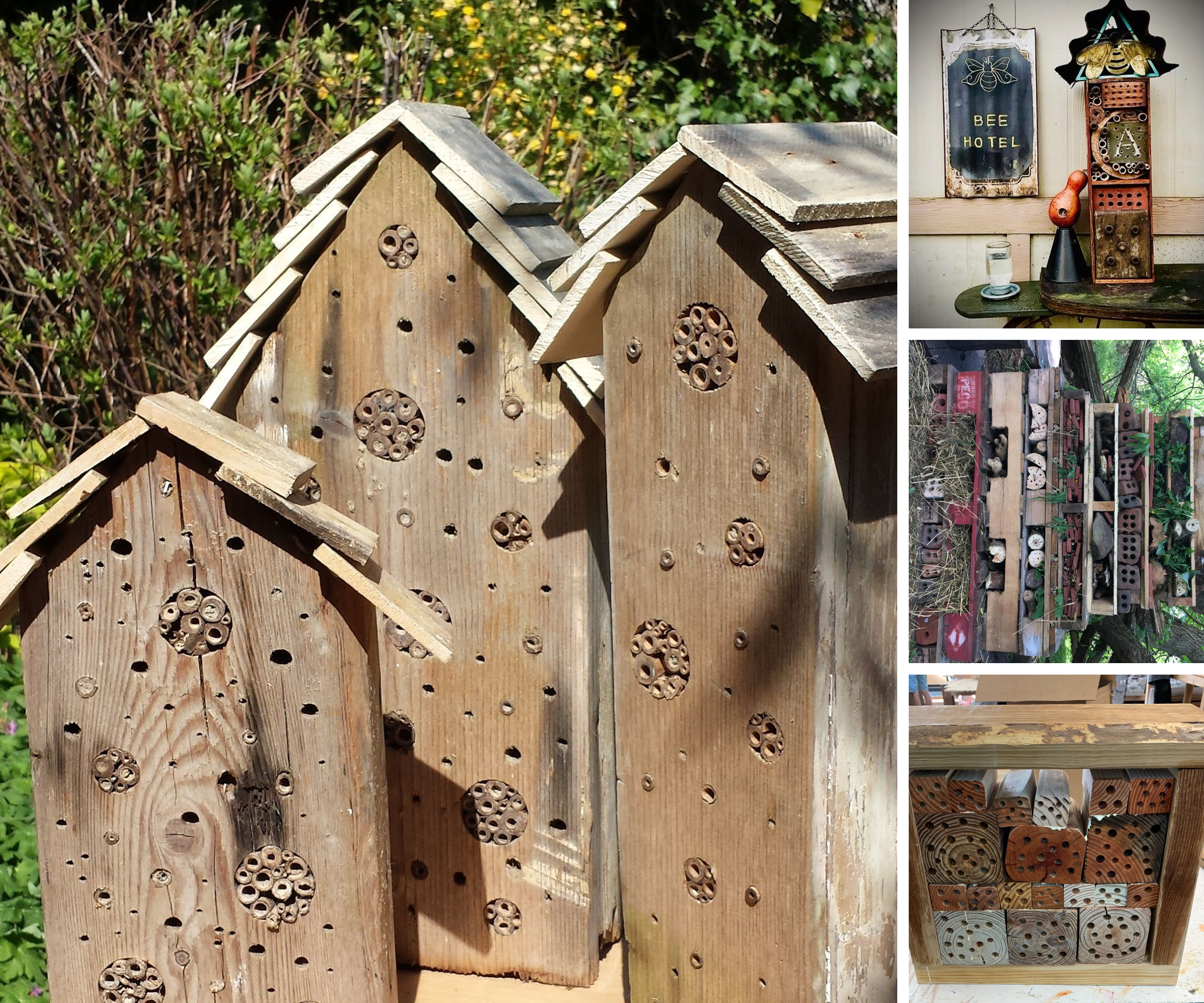 Bird, Bat and Bee Houses