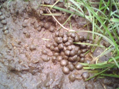 Materials & Parts Needed.