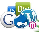 What Is Web Designing and Development?