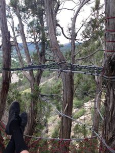 Tree Net : 5 Steps (with Pictures) - Instructables