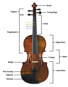 Different Parts of the Violin and Bow