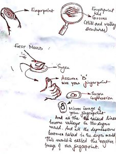 Methodology