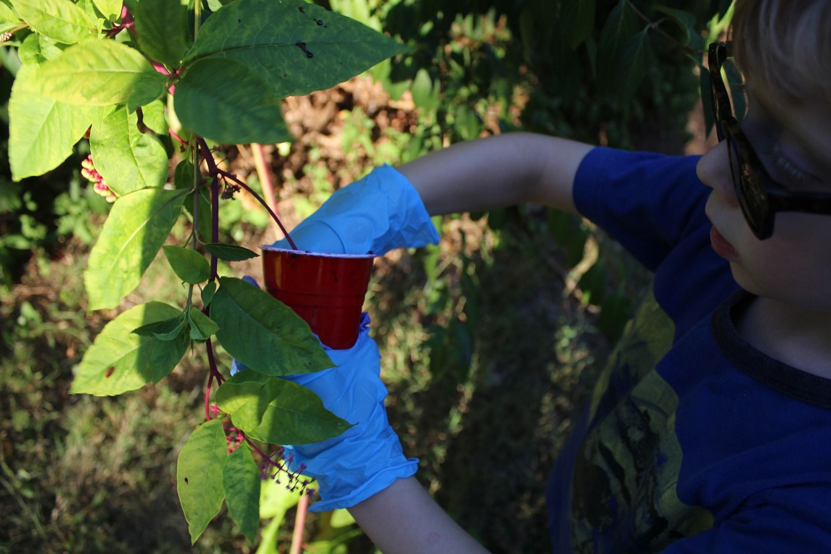 Poisonous Plant Paint for Kids! 3 Steps Instructables