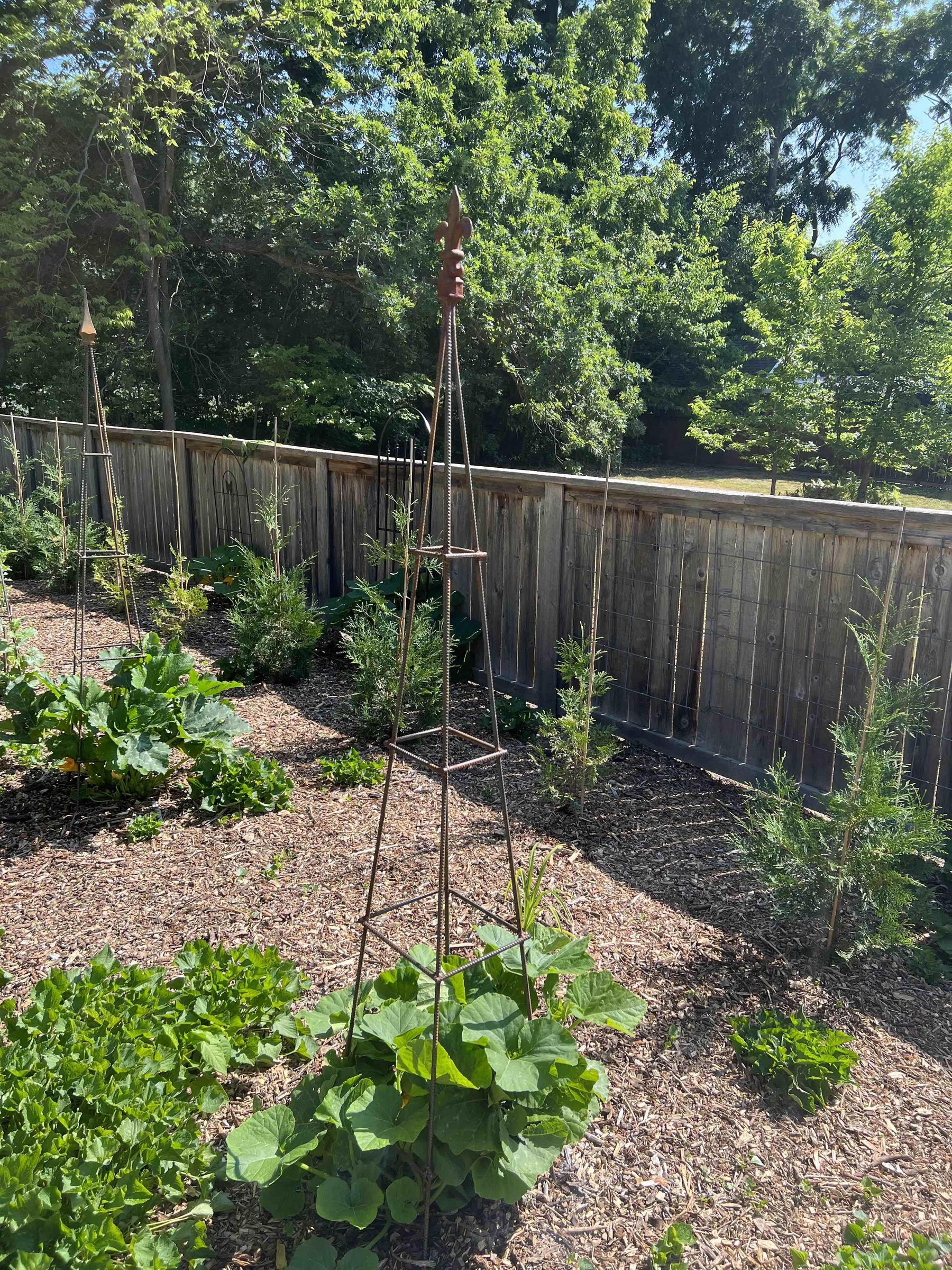 Garden Obelisk/Trellis Made From Rebar 9 Steps (with Pictures