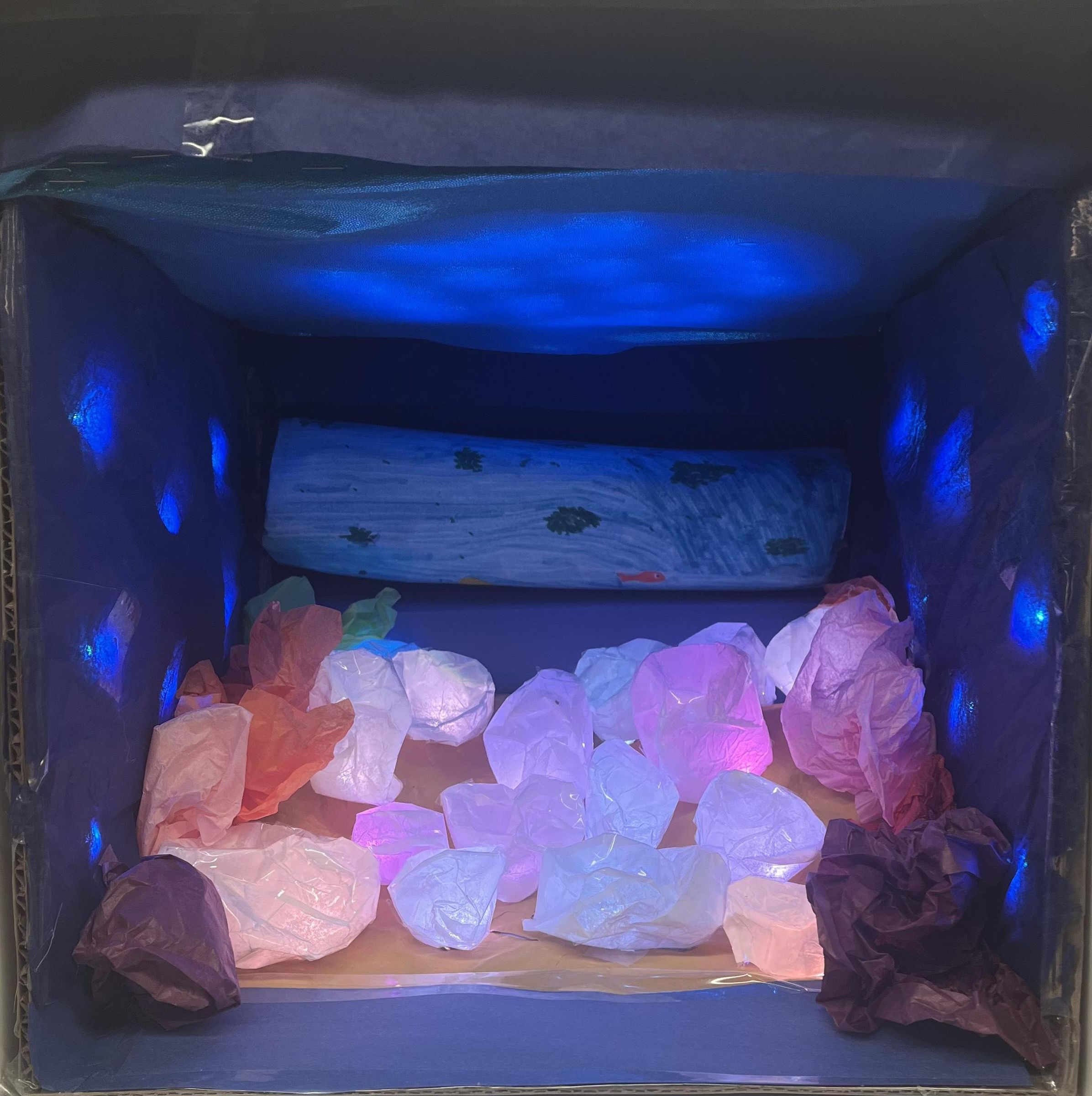 Display of Bleaching in Coral Reefs