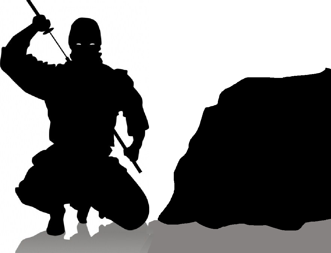 how to play ninja paintball