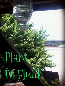 Plant IV Fluid
