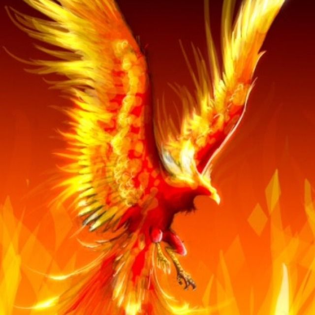 Phoenix Flare