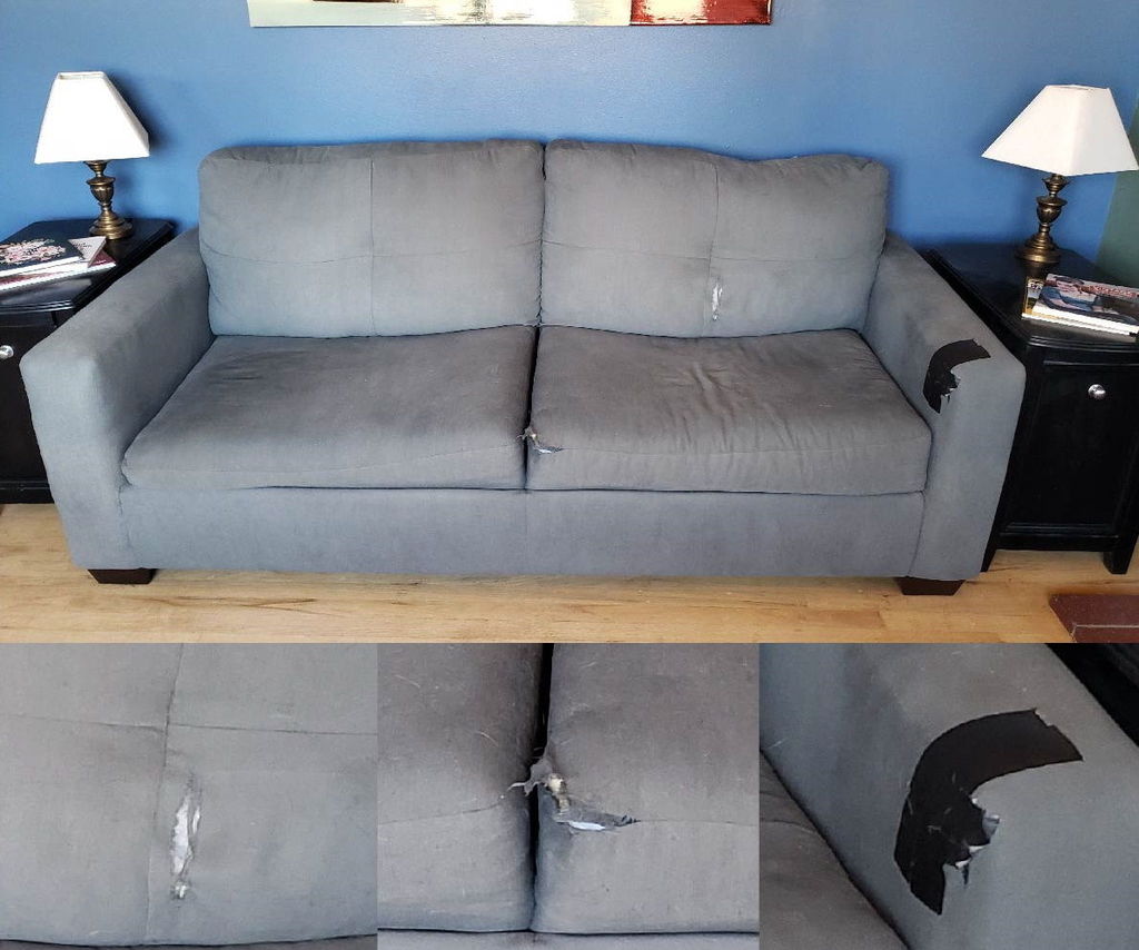 How to Fix a Couch With Torn Upholstery 8 Steps (with Pictures