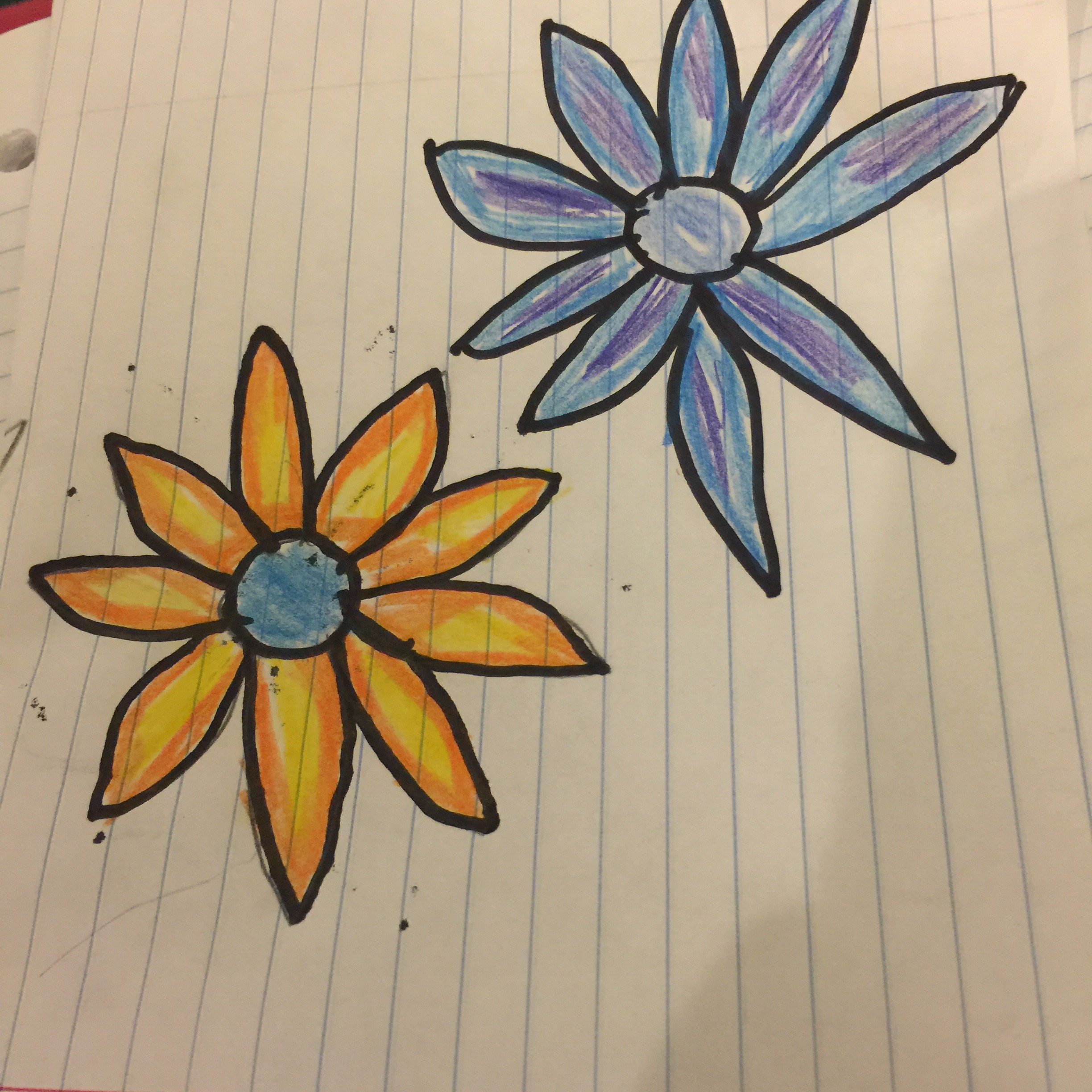 Tropical Flower Drawing