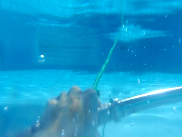 Feel like Superman: Fly Underwater!